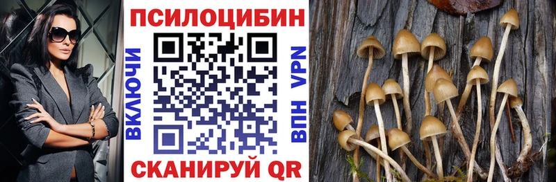 Псилоцибиновые грибы Magic Shrooms  Бирск 
